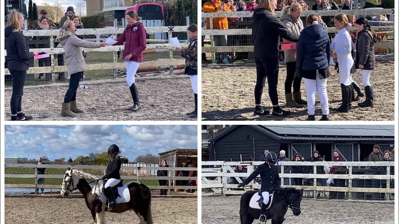 De allereerste Stal Remi Dressuur wedstrijd!!🏆🎉