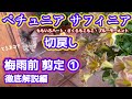 【ペチュニア切戻し①】【やり方解説】梅雨前の剪定・ももいろハート・さくらもこもこ・ブルーモーメント