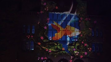 NuFormer 3D Video Mapping - Samsung, Amsterdam, May 2010