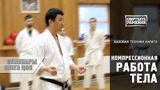 Каратэ Шотокан. Уроки Олега Цоя. Компрессионная работа тела Каратэ Шотокан. Уроки Олега Цоя. Компрессионная работа тела