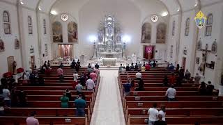 La Eucaristía: El Pan de los Ángeles que Sacia el Hambre de Eternidad