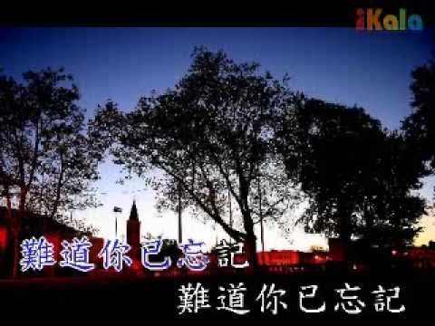 今夜台北沒有你