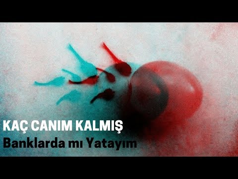 Banklarda mı Yatayım