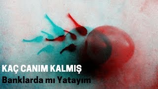 Kaç canım kalmış - Banklarda mı yatayım chords