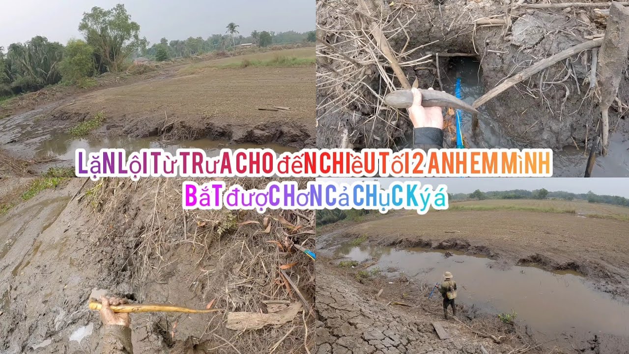 Lặn Lội Cho Đến Chiều Tối Thu Nhập Của Anh Em Mình Cũng Được Kha Khá Á 