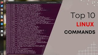 Top 10 Linux Commands