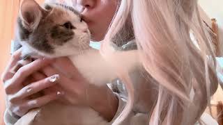 Viral Video Lucky Cat Licking Prank Beautiful Girl Kissing Hairy Fluffy Cute Pet