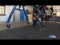 USA Today : First-of-its-kind robot modeled after birds