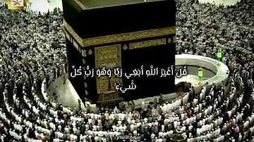 تلاوة فضيلة الشيخ د.ماهر المعيقلي-حفظه الله و رعاه.#ماهرالمعيقلي