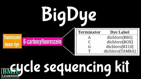 BigDye Direct Cycle Sequencing kit | Cycle Sequencing |