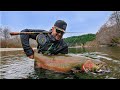 CENTERPIN FISHING FOR GIANT STEELHEAD OF THE PNW Oregon/WA | 2019