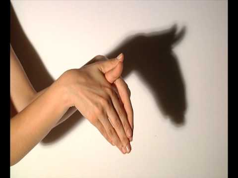 Chinese Shadows - Horse - YouTube
