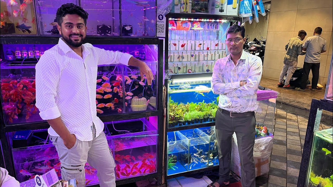 Finally Aaj Kurla Fish Market Aa Gaye ✨