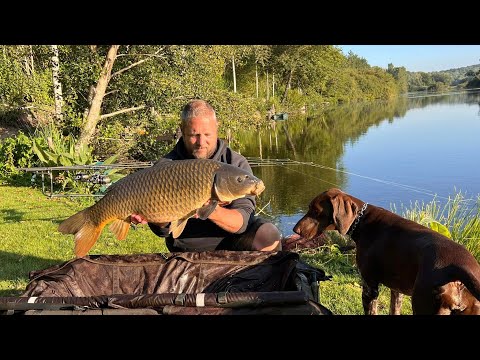 La noix tigrée by Carpecanal