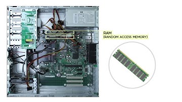 Computer Basics  Inside a Desktop Computer