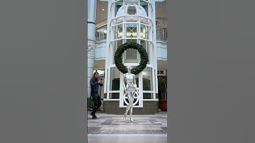 This is a NeRF and it