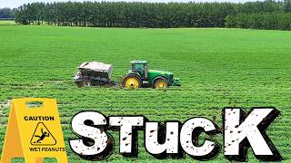 Stuck In The Middle Of A Peanut Field