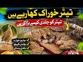 Mashallah Teer check Karen #viralvideo #faryoupage 