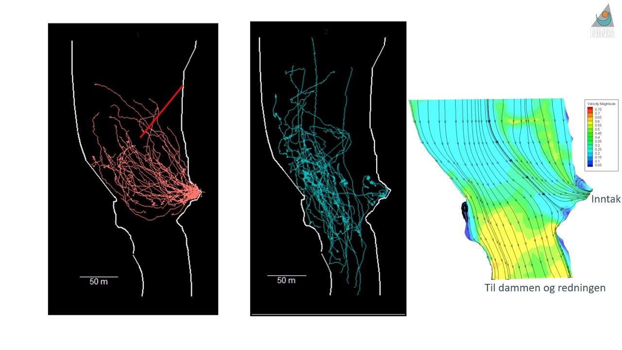 Miljødesign; ledegjerder i Mandalselva