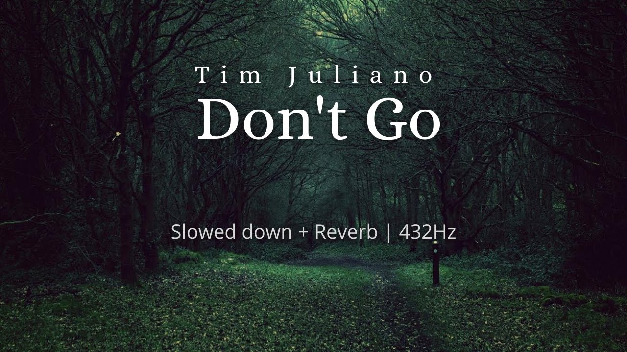 Tim Juliano - Don't Go - (Slowed Down + Reverb) [432Hz] #DAYCORE