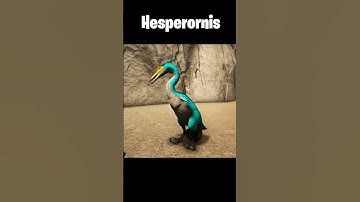 Taming Hesperornis - ARK Survival Evolved #ark  #shorts