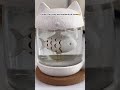 Glass Mug Cute Cat #shorts #viral #trending #gadgets