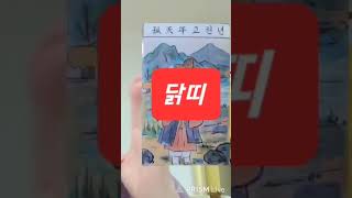 닭띠 대박 오늘의운세 2024년2월27일 화요일 재회운/연애운/애정운이 좋은 띠 (소띠) #오늘의운세 #운세…