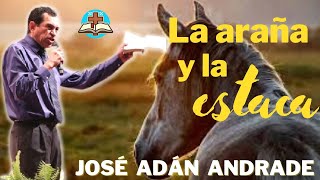 La araña y la estaca - José Adán Andrade by Predicas de sana doctrina  9,476 views 1 year ago 3 minutes, 34 seconds