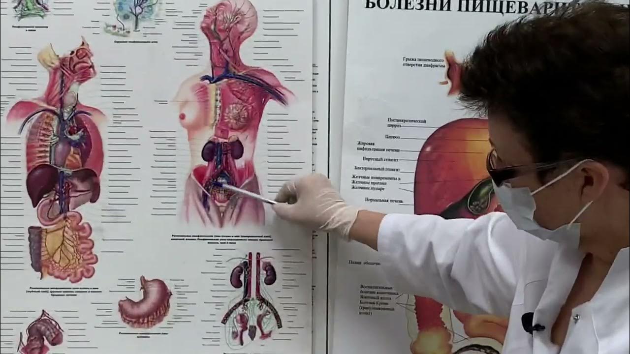 обязательные мероприятия с новичком. ежедневные обязательные мероприятия. шишова обязательные ежедневные мероприятия. ежедневные обязательные мероприятия. обязательные мероприятия.