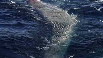 Last Call for Tomorrow Trailer | Directed by Gary Null, Valerie Van Cleve, Co-director