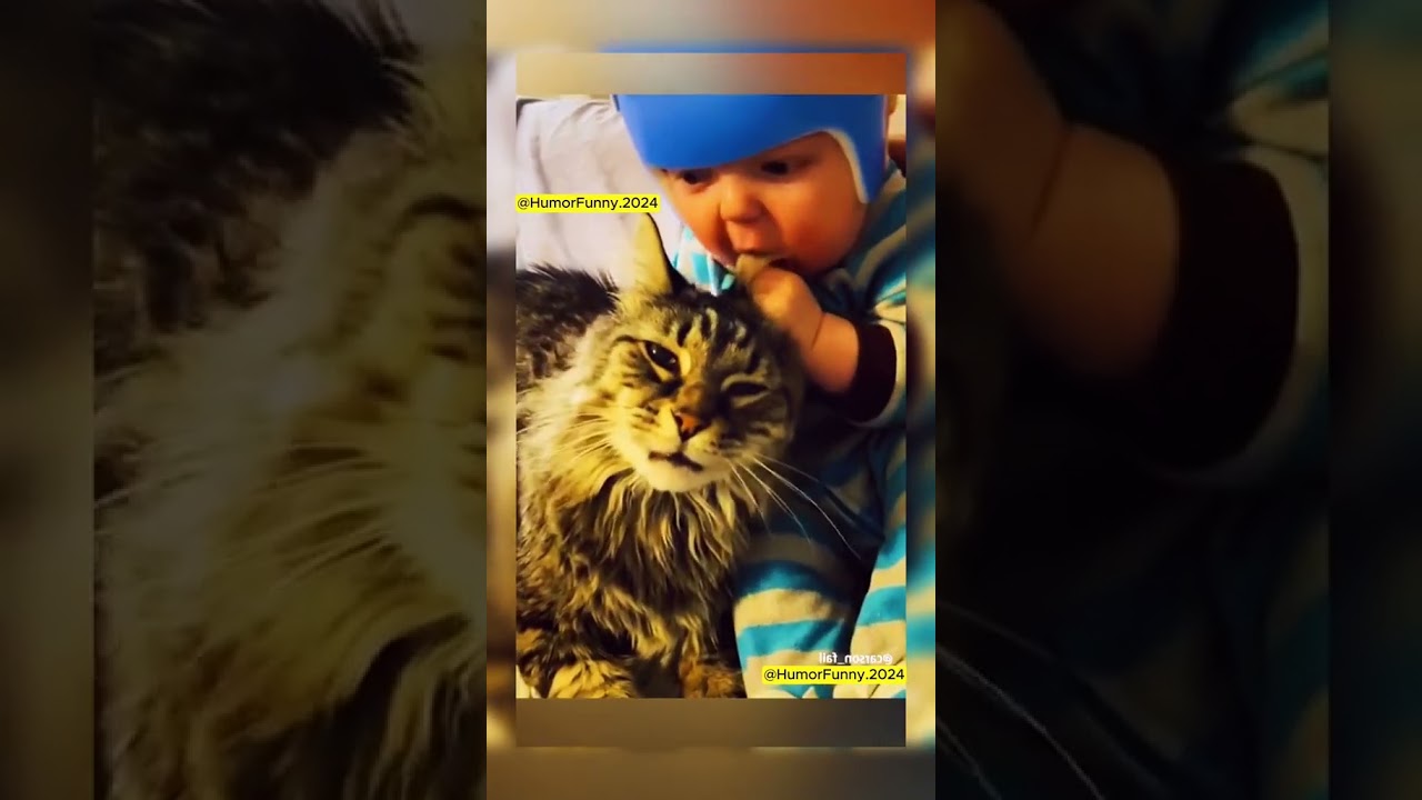 😍 Baby Giggles Galore! Babies & Cats in Hilarious Playtime Moments! 🐱💕 