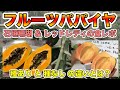 【フルーツパパイヤとは？】石垣珊瑚とレッドレディの食べ比べ！切り方！糖度まで！パパイア【種無しと種有りの違い？】What is fruit papaya?