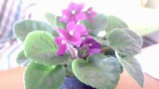 kendime yaşayacağım