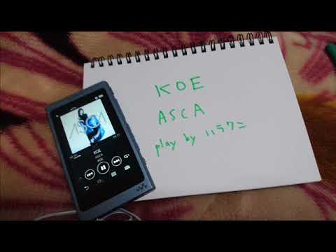 弾いてみました　KOE ASCAさん　by ハラクン
