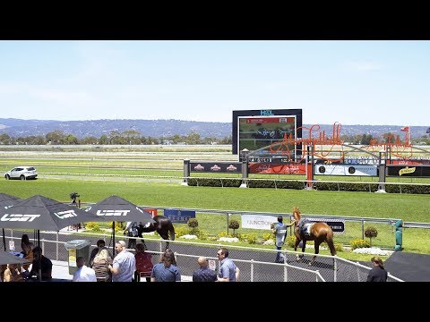 One Simple Solution for a Complex Venue | The Junction and Morphettville Racecourse - H&L Australia