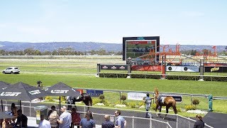 One Simple Solution for a Complex Venue | The Junction and Morphettville Racecourse - H&L Australia