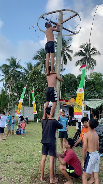 Membuat permainan panjat pinang 17 agustus