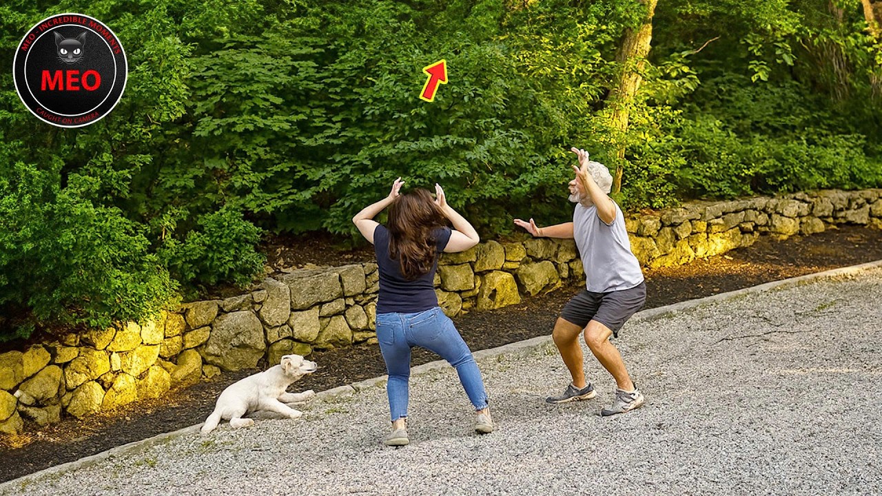 Incredible Moments Caught on Camera  (P189)