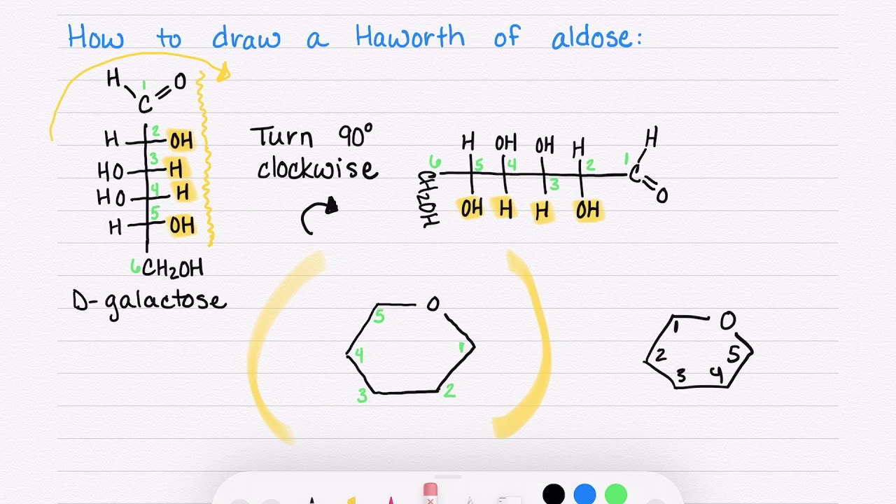 20.3 How to Draw the Haworth Structure of an Aldose YouTube