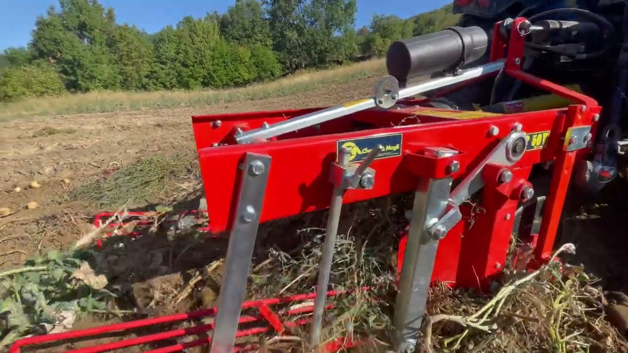 SP50V potato digger by CHECCHI & MAGLI and @AziendaAgricolaPietraViva