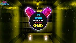 We Never (Dj阿智 Remix Tiktok 2026) 若如初见 (Dj抖音热播版) Love Got You (Remix)| Funkyhouse Mix Douyin