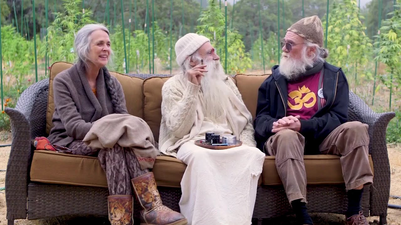 Smokin' With Swami: Уэйд Лафтэр и создание Harlequin / Ganjier