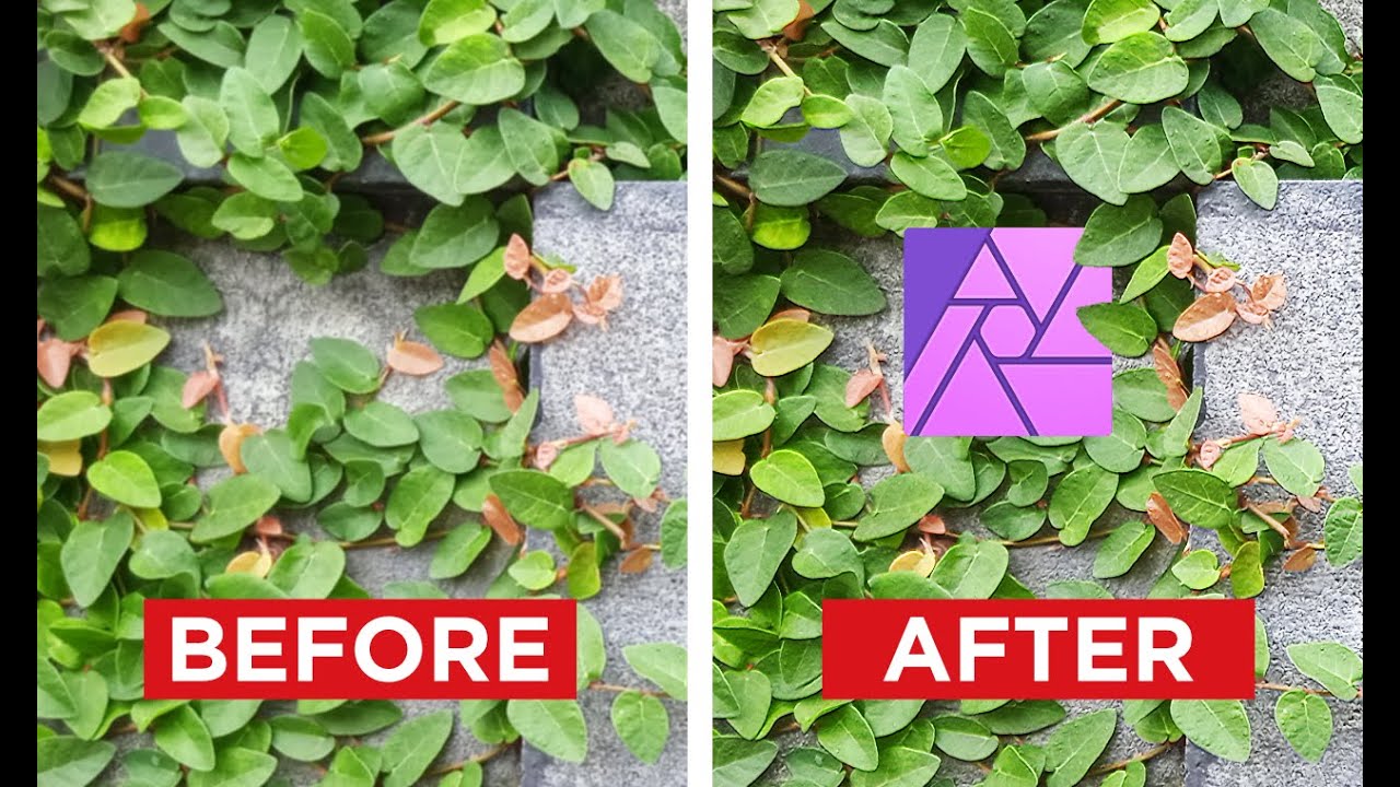 Tutorial Affinity Photo, Trick Menajamkan Foto Yang Kurang Fokus