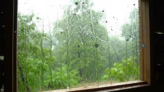 Widuri – Jazz Pop Cover | Lagu Romantis Abadi Indonesia