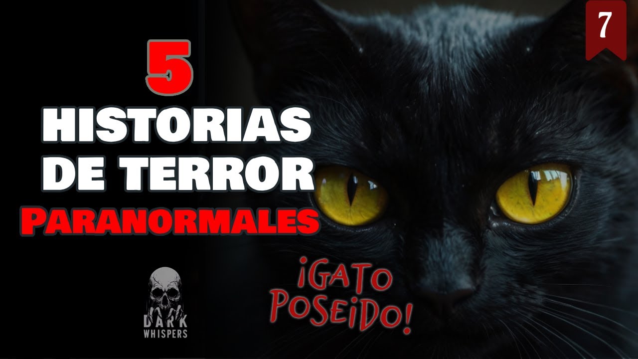 Terror Real 5 Historias de terror reales: Casos paranormales. - YouTube