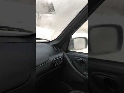 Нива Урбан Марат борода