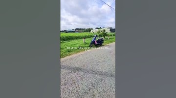 Đất xã Tân Thông Hội, dt 130m2, giá 2 tỷ 350 (L719) #đất_củ_chi