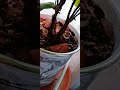 Fiddle Leaf Fig #plants #fiddleleaffig