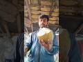 पापा पापा मुझे नारियल पानी पीना है #coconut #ytshorts #trending