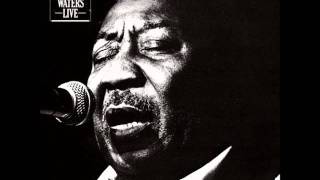 Muddy Waters - After Hours / Stormy Monday Blues (Live)